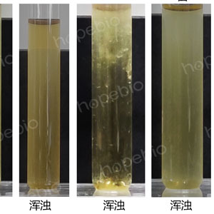不同质控菌株在TSB培养基的生长状态/