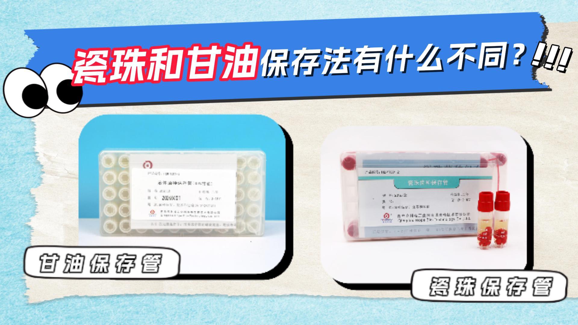 瓷珠保存法和甘油保存法有什么不同？